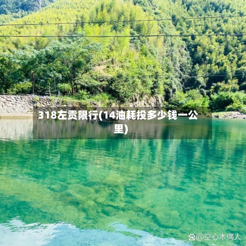 318左贡限行(14油耗投多少钱一公里)-第2张图片
