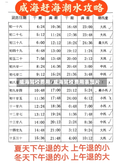 威海驾校费用/威海驾校费用表图片-第3张图片