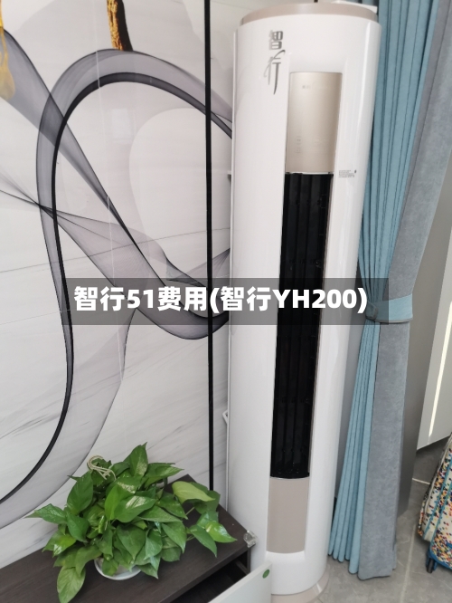 智行51费用(智行YH200)-第2张图片