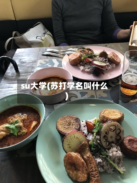 su大学(苏打学名叫什么)