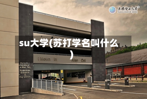 su大学(苏打学名叫什么)-第3张图片
