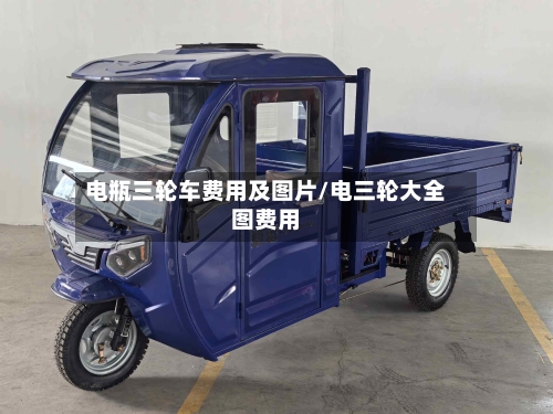 电瓶三轮车费用及图片/电三轮大全图费用-第2张图片