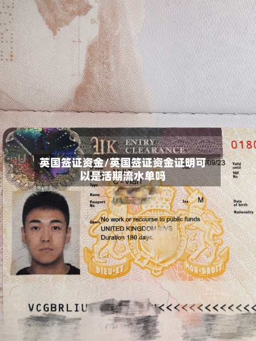 英国签证资金/英国签证资金证明可以是活期流水单吗-第2张图片