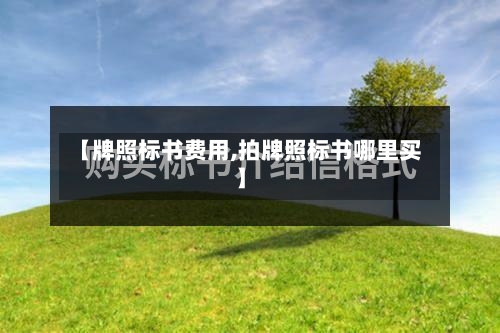 【牌照标书费用,拍牌照标书哪里买】-第3张图片