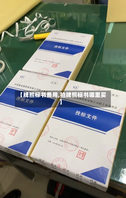 【牌照标书费用,拍牌照标书哪里买】