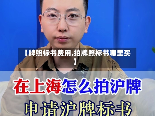 【牌照标书费用,拍牌照标书哪里买】-第2张图片