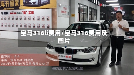 宝马316li费用/宝马316费用及图片-第2张图片