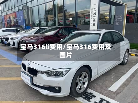 宝马316li费用/宝马316费用及图片-第3张图片