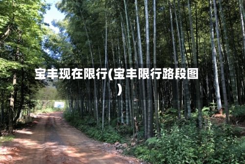宝丰现在限行(宝丰限行路段图)-第2张图片