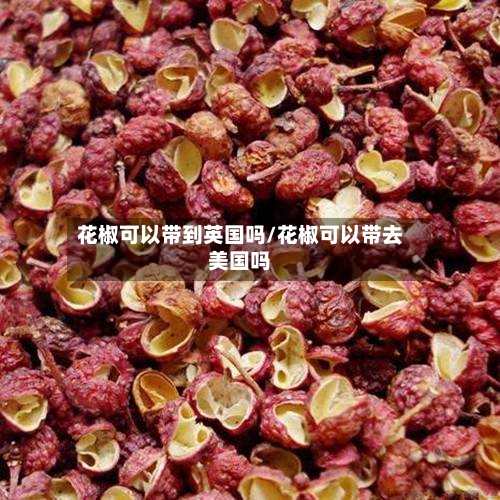 花椒可以带到英国吗/花椒可以带去美国吗