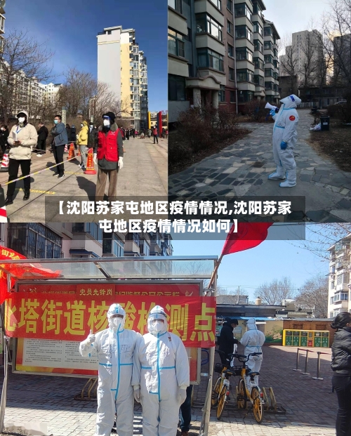 【沈阳苏家屯地区疫情情况,沈阳苏家屯地区疫情情况如何】