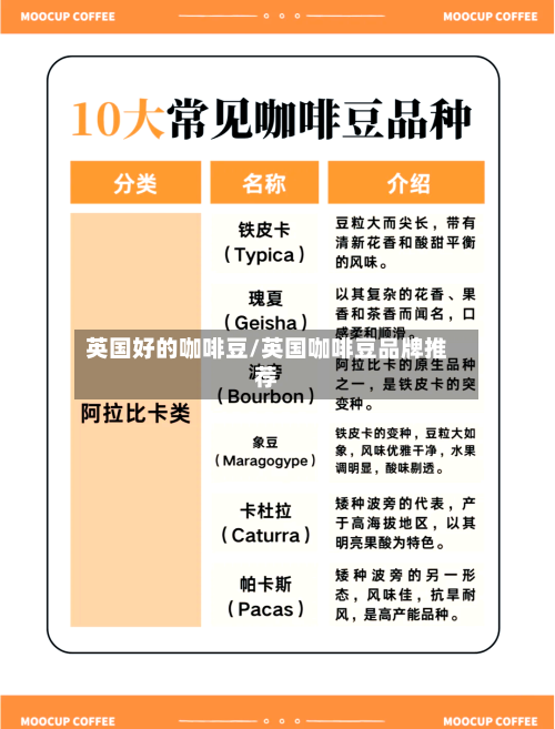 英国好的咖啡豆/英国咖啡豆品牌推荐