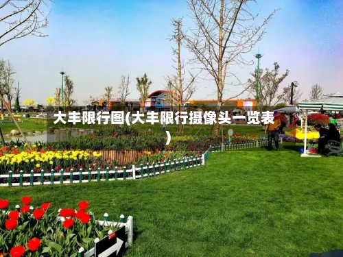 大丰限行图(大丰限行摄像头一览表)