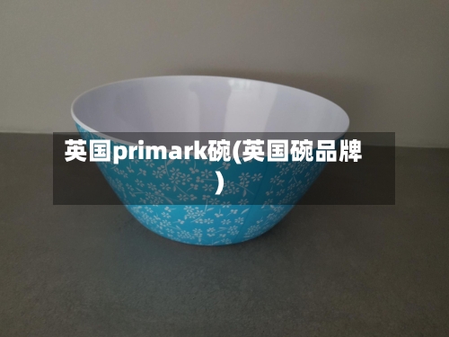 英国primark碗(英国碗品牌)-第3张图片