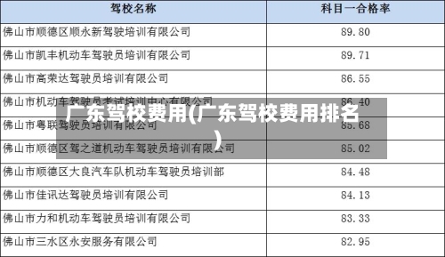 广东驾校费用(广东驾校费用排名)