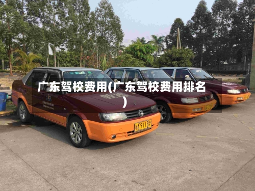 广东驾校费用(广东驾校费用排名)-第3张图片