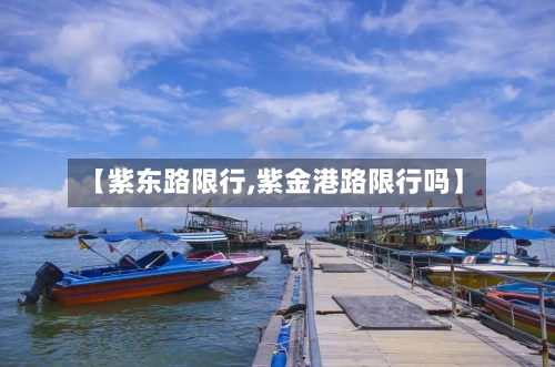 【紫东路限行,紫金港路限行吗】-第2张图片