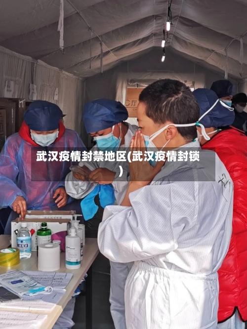 武汉疫情封禁地区(武汉疫情封锁)-第3张图片