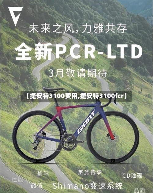 【捷安特3100费用,捷安特3100fcr】-第2张图片