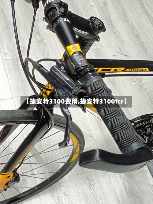 【捷安特3100费用,捷安特3100fcr】-第3张图片