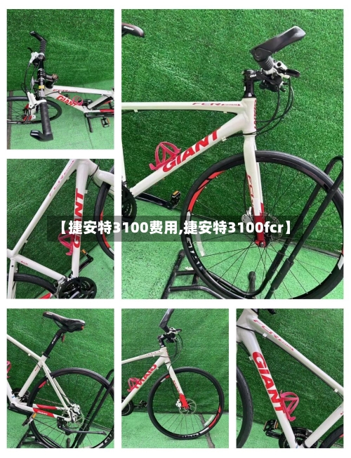 【捷安特3100费用,捷安特3100fcr】