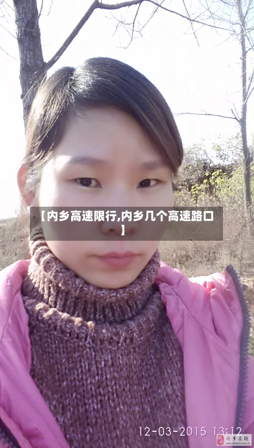 【内乡高速限行,内乡几个高速路口】