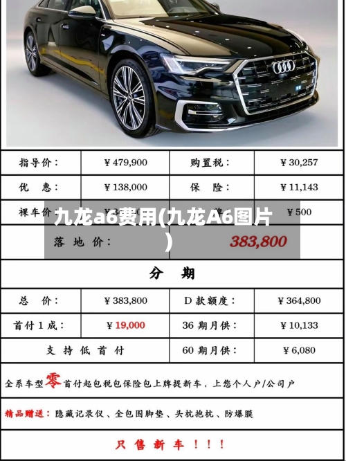 九龙a6费用(九龙A6图片)