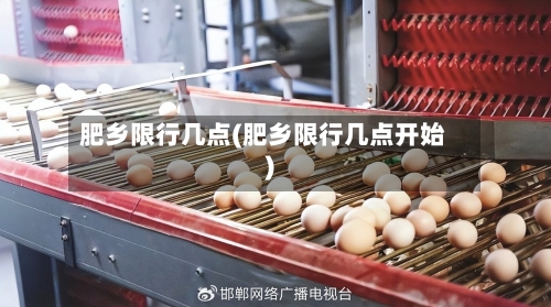 肥乡限行几点(肥乡限行几点开始)-第2张图片