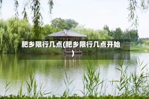 肥乡限行几点(肥乡限行几点开始)