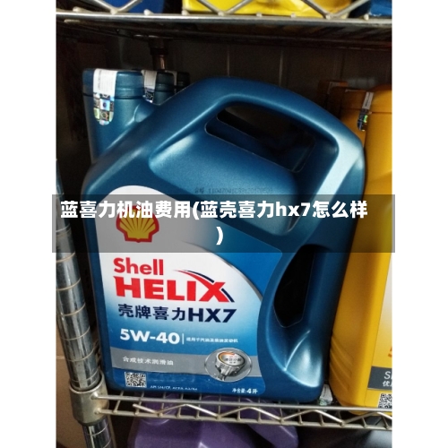 蓝喜力机油费用(蓝壳喜力hx7怎么样)-第3张图片