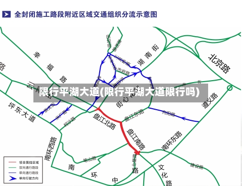 限行平湖大道(限行平湖大道限行吗)-第3张图片