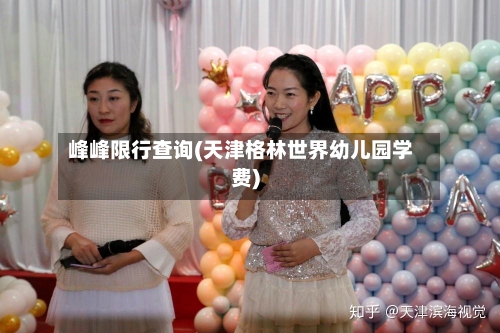 峰峰限行查询(天津格林世界幼儿园学费)-第3张图片
