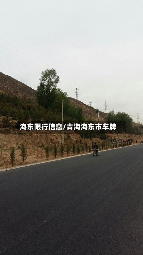 海东限行信息/青海海东市车牌