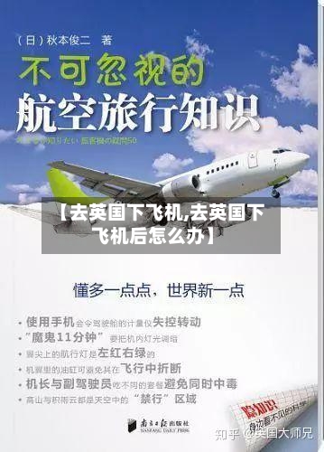 【去英国下飞机,去英国下飞机后怎么办】