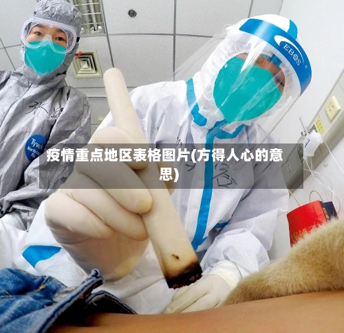 疫情重点地区表格图片(方得人心的意思)-第2张图片