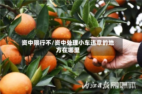 资中限行不/资中处理小车违章的地方在哪里-第3张图片