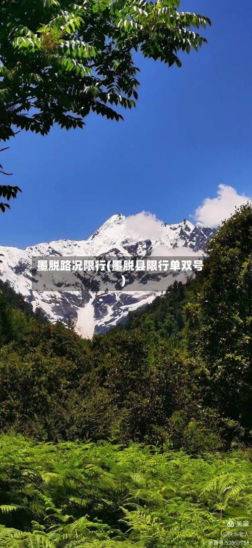 墨脱路况限行(墨脱县限行单双号)
