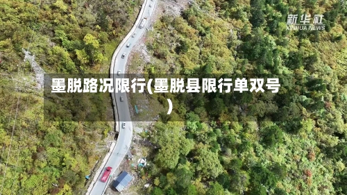 墨脱路况限行(墨脱县限行单双号)-第3张图片