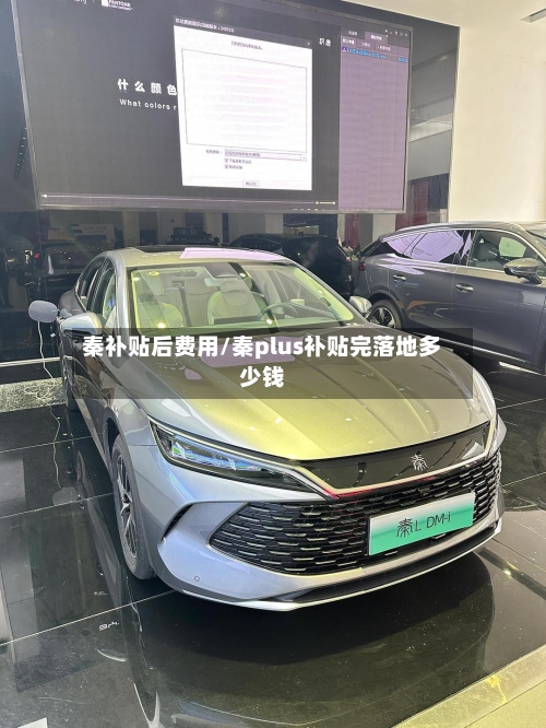 秦补贴后费用/秦plus补贴完落地多少钱-第3张图片