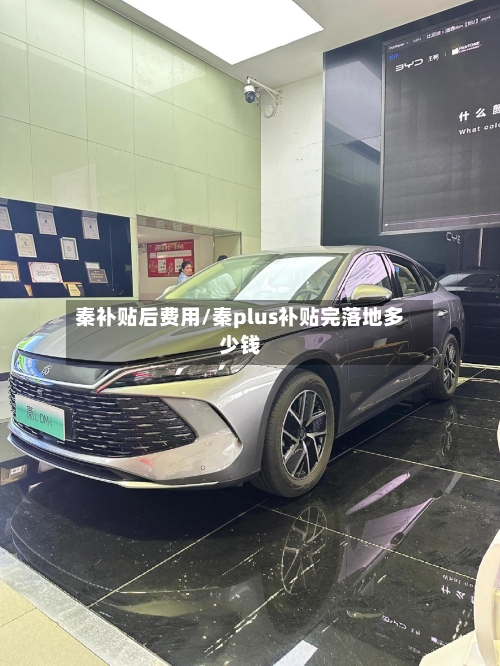 秦补贴后费用/秦plus补贴完落地多少钱-第2张图片