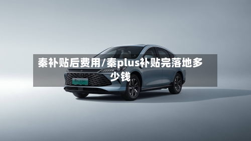 秦补贴后费用/秦plus补贴完落地多少钱