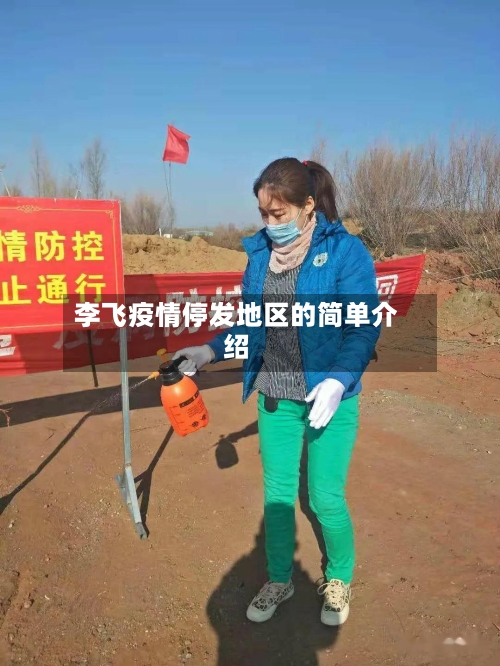 李飞疫情停发地区的简单介绍-第3张图片