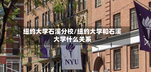 纽约大学石溪分校/纽约大学和石溪大学什么关系-第2张图片