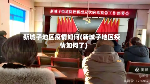 新城子地区疫情如何(新城子地区疫情如何了)