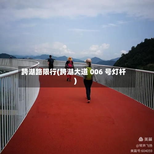 跨湖路限行(跨湖大道 006 号灯杆)-第3张图片