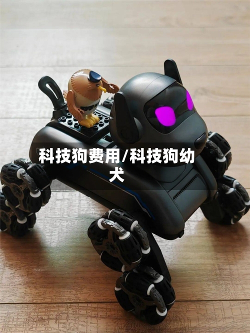 科技狗费用/科技狗幼犬-第2张图片