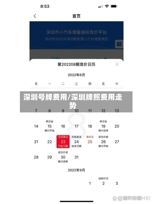 深圳号牌费用/深圳牌照费用走势-第3张图片