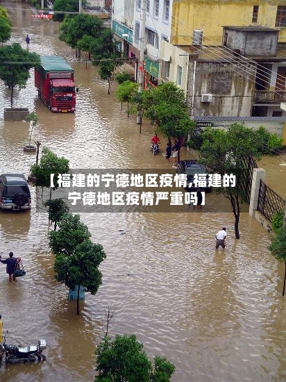 【福建的宁德地区疫情,福建的宁德地区疫情严重吗】-第3张图片
