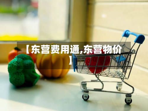 【东营费用通,东营物价】