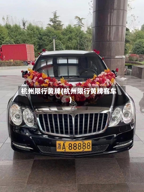 杭州限行黄牌(杭州限行黄牌客车)-第2张图片